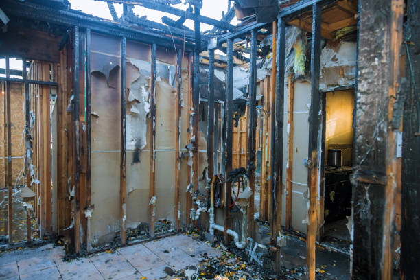 Professional Soot Cleanup technician working in Waterman, IL